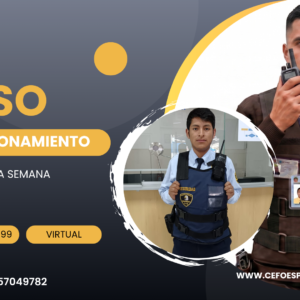 CURSO PERFECCIONAMIENTO